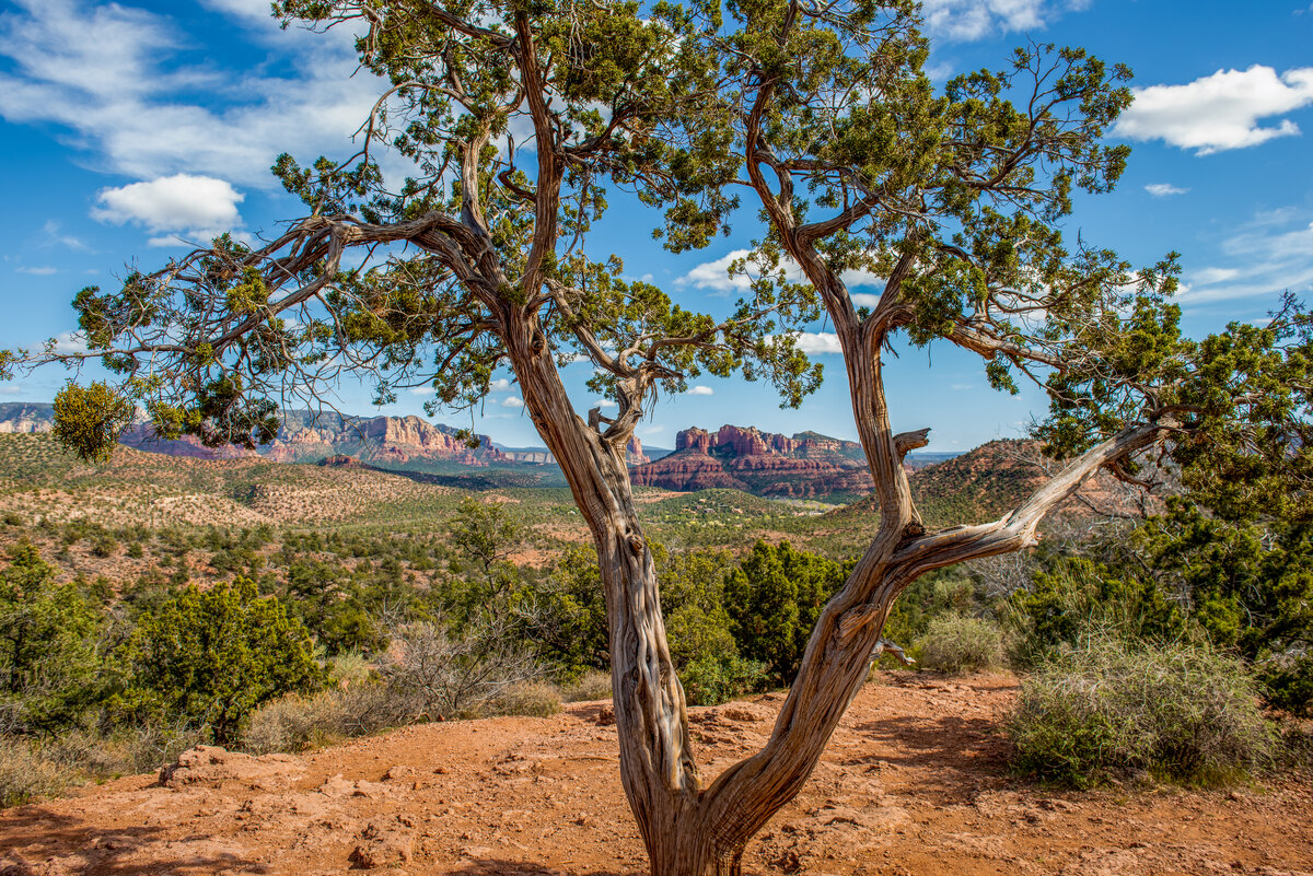 _DSC0748-Edit.jpg