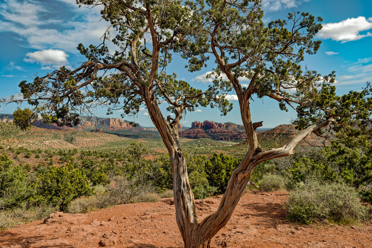 _DSC0748_DxO-Edit.jpg