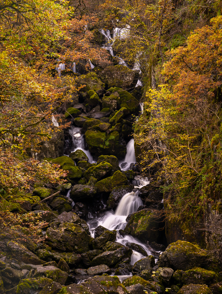 _DSC0749-1 copy.jpg