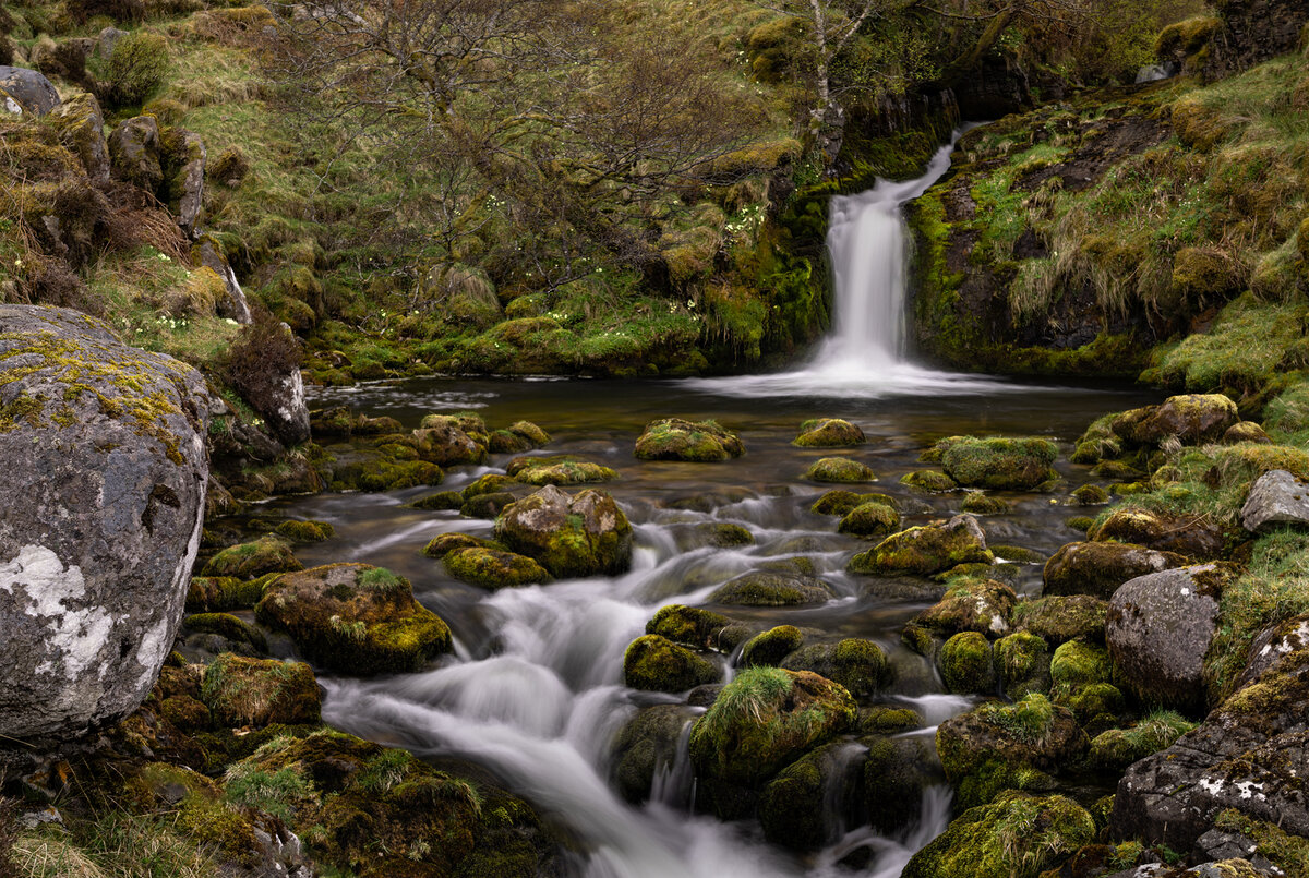 _DSC0776-1 copy.jpg