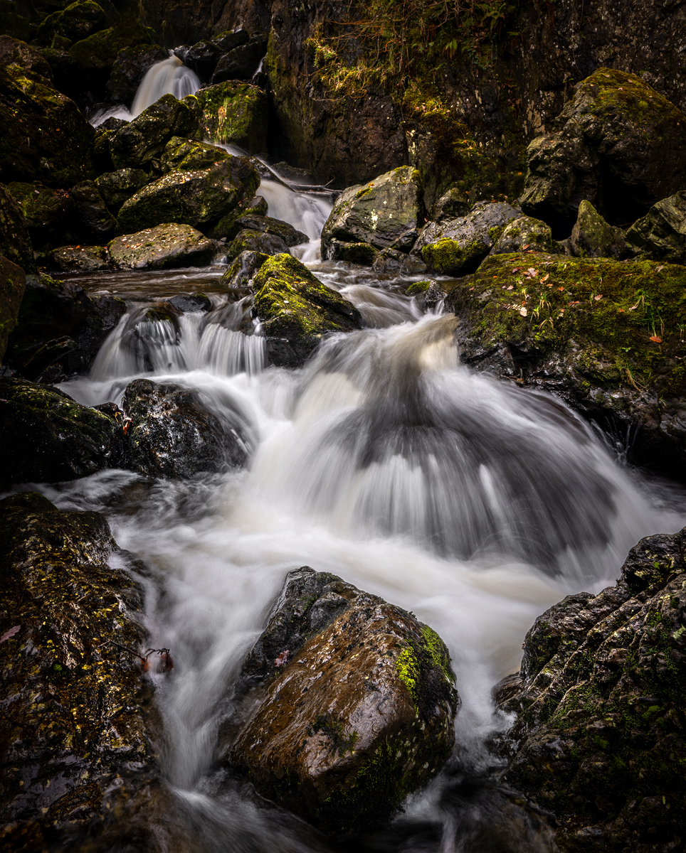 _DSC0795-1 copy.jpg