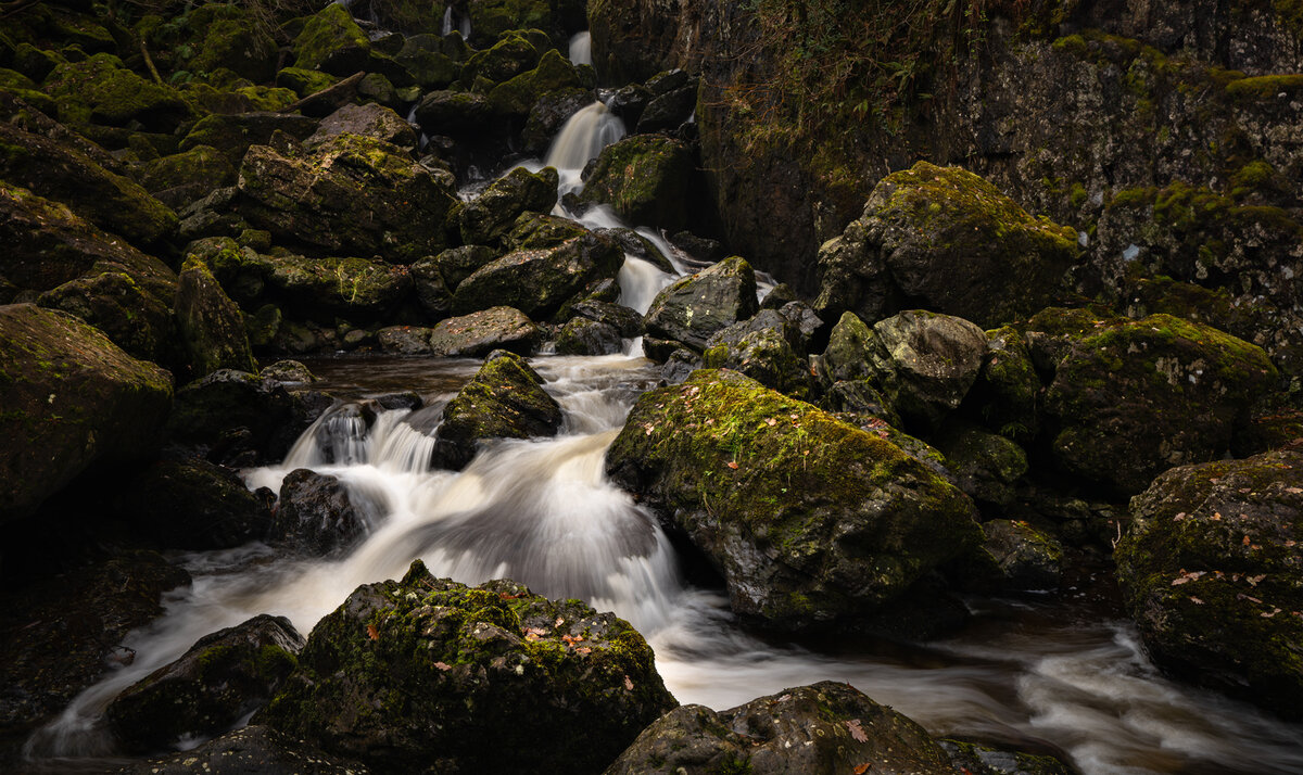 _DSC0848-1 copy.jpg