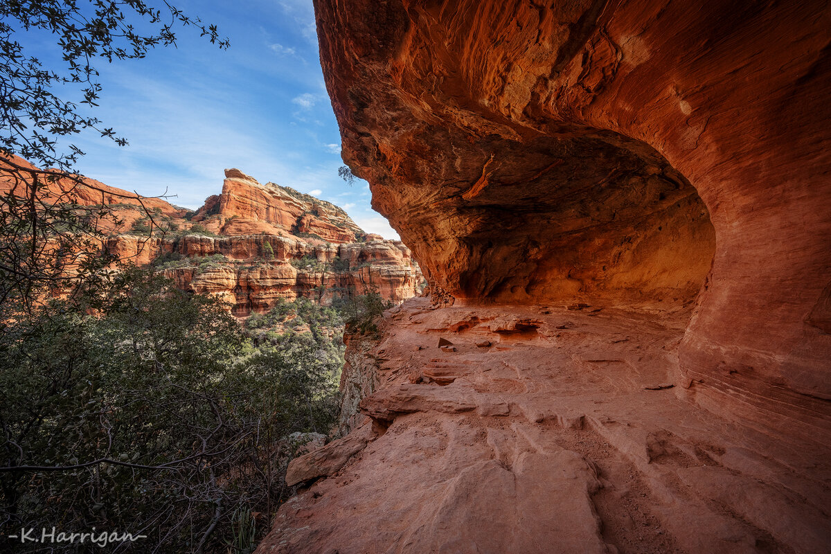 _DSC0859 copy-sharpened.jpg