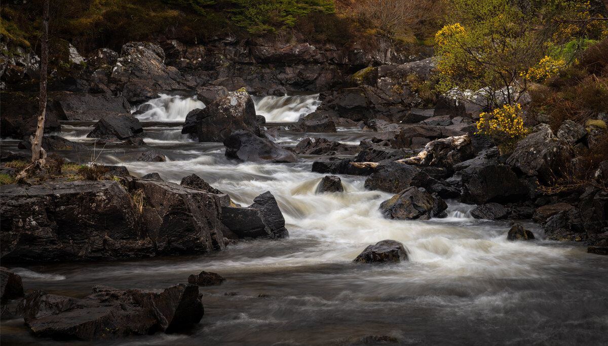 _DSC0884 to 0887 mean merge copy.jpg