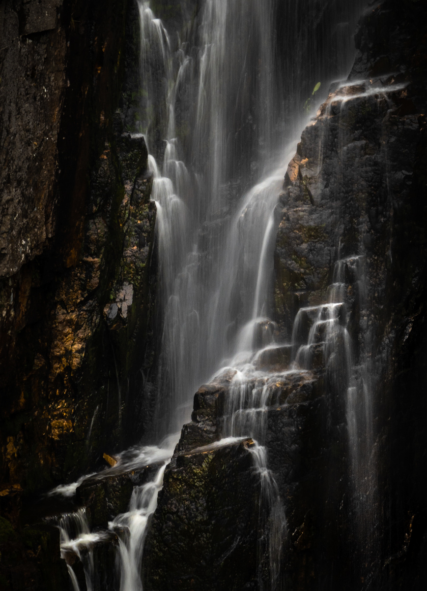 _DSC0962-1 copy (3).jpg
