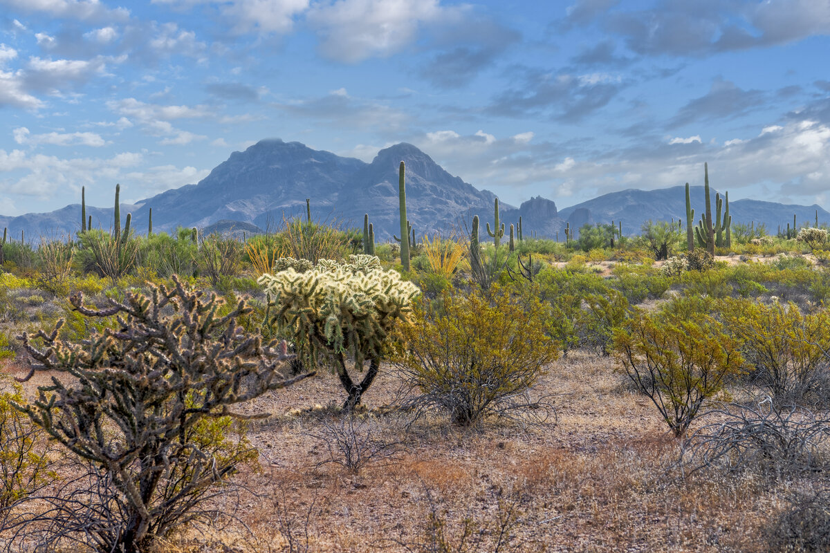 _DSC0992_DxO-Pano-Edit.jpg