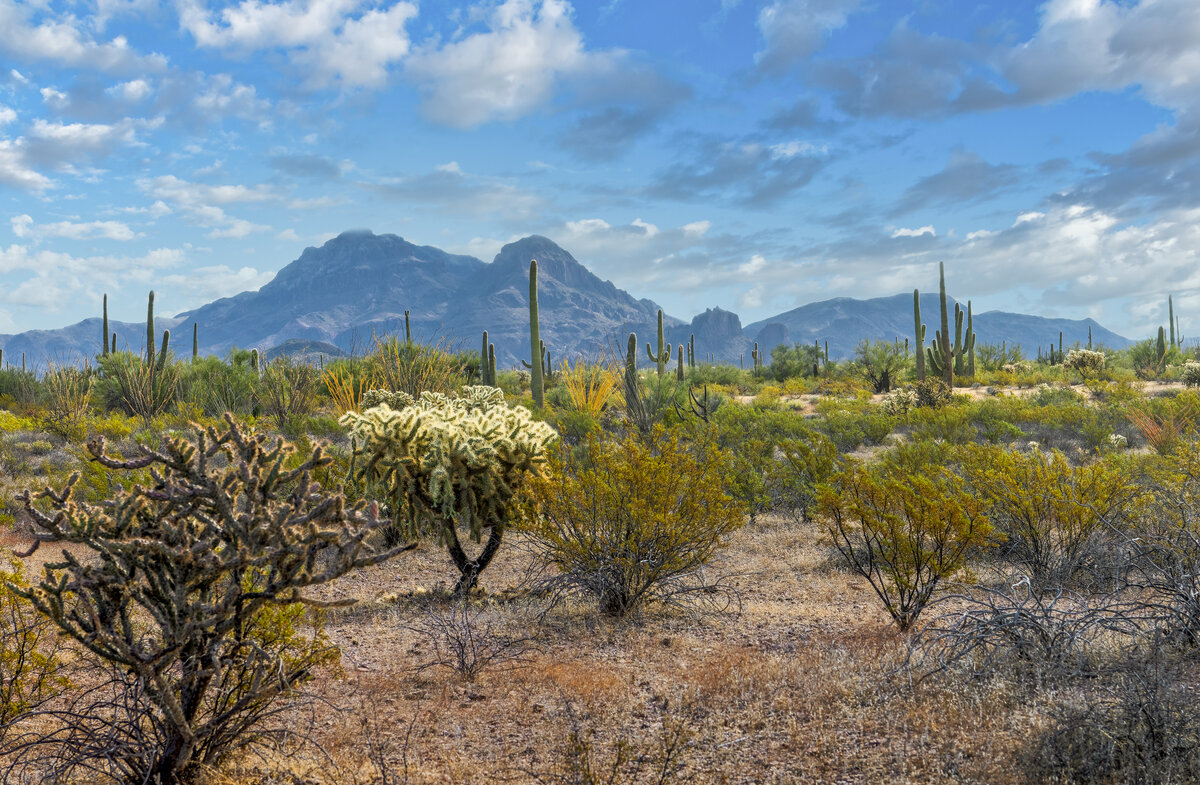 _DSC0992_DxO-Pano-Edit.jpg