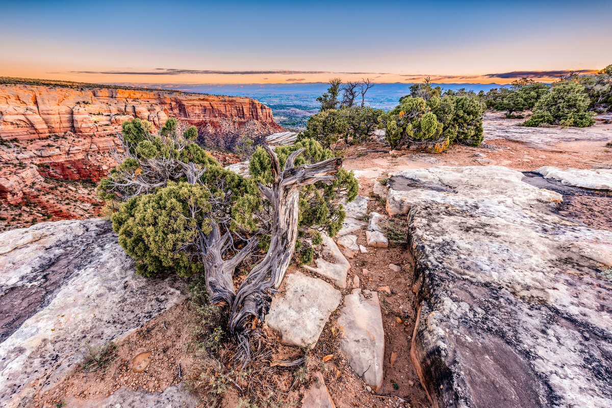 _DSC1012-Edit.jpg