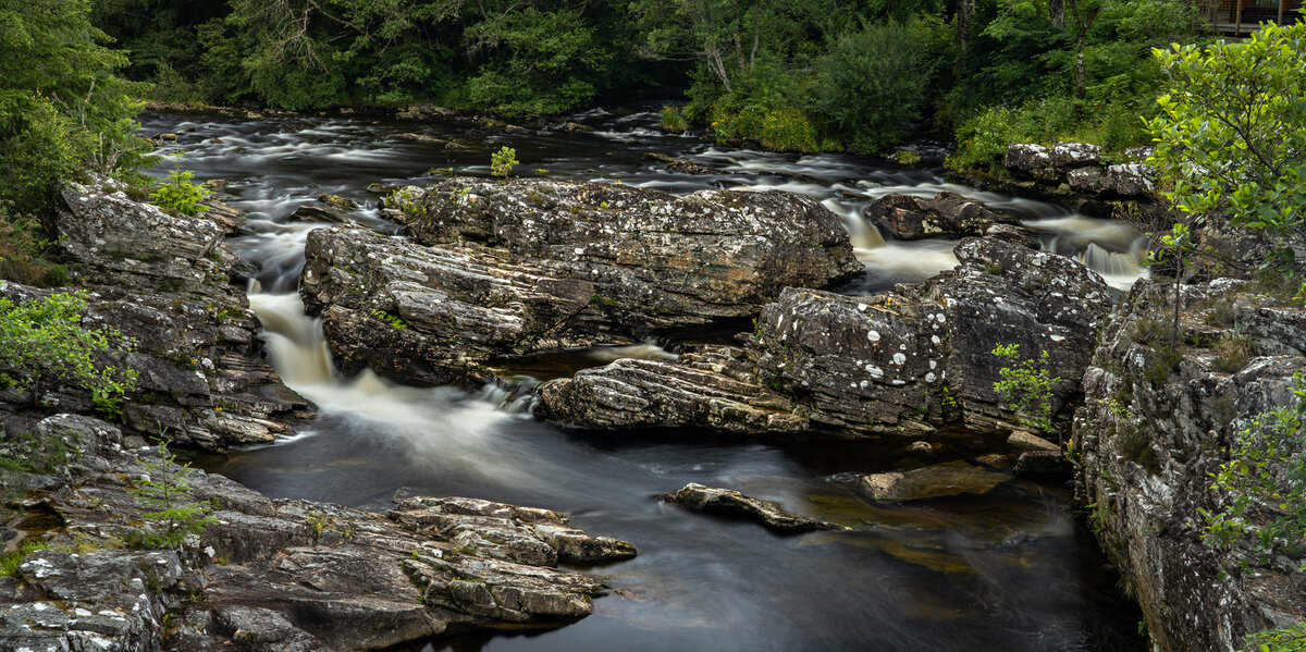 _DSC1026-1.jpg