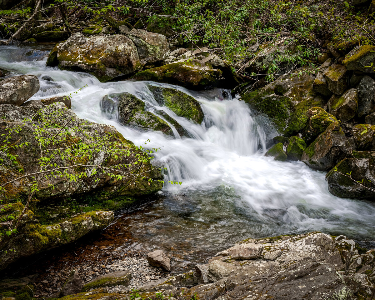 _DSC1051_DxO-Edit.jpg