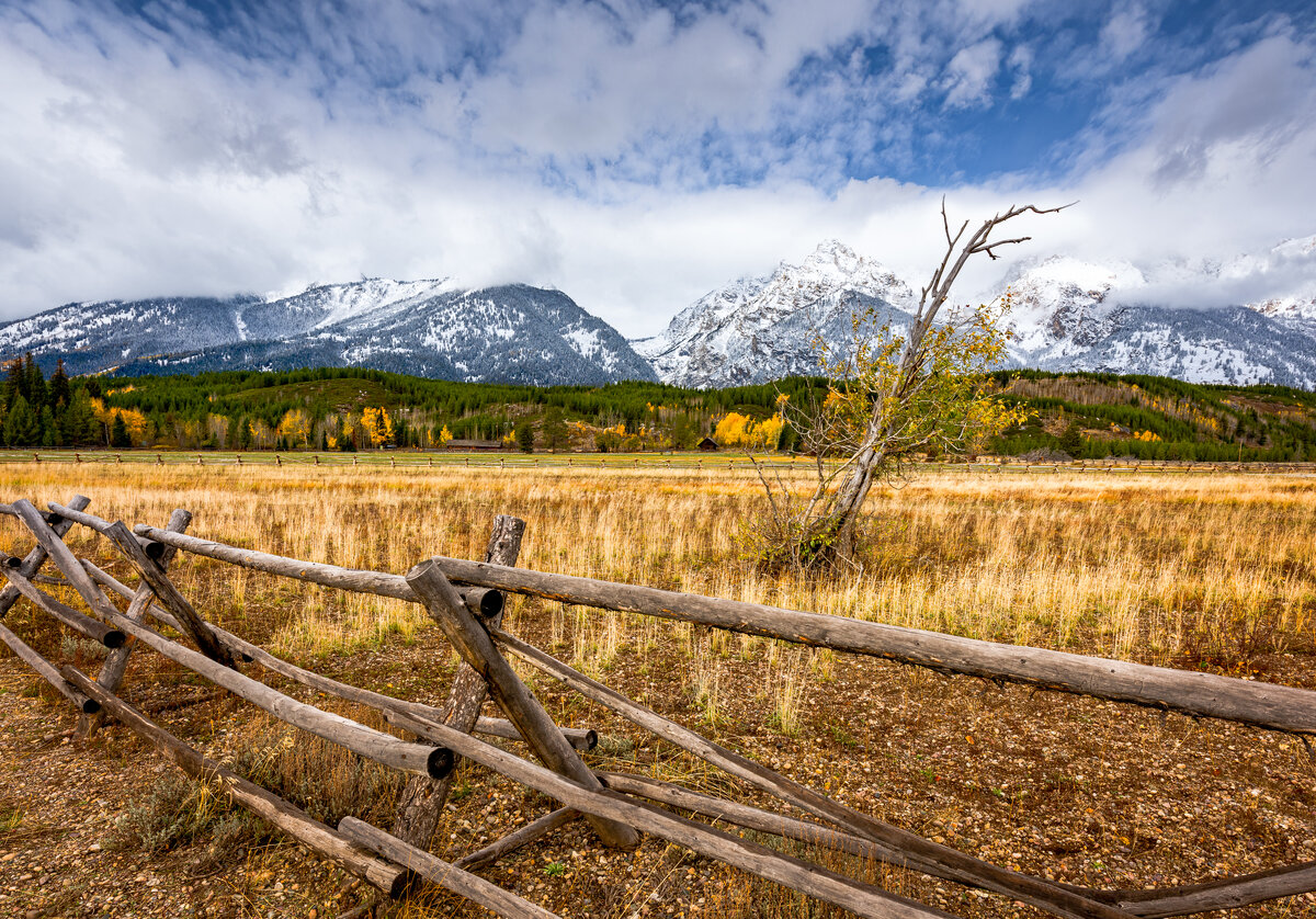 _DSC1075-Edit.jpg