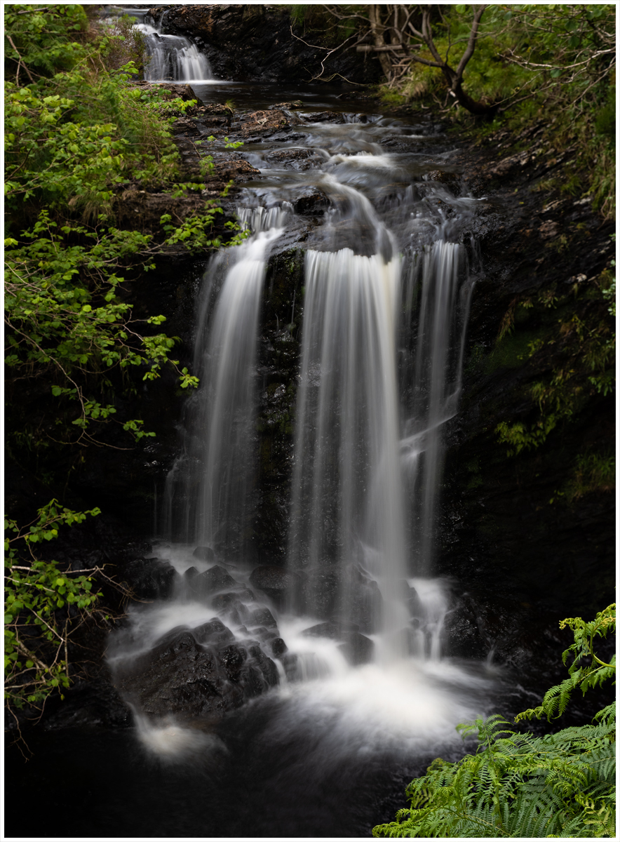 _DSC1078-1.jpg