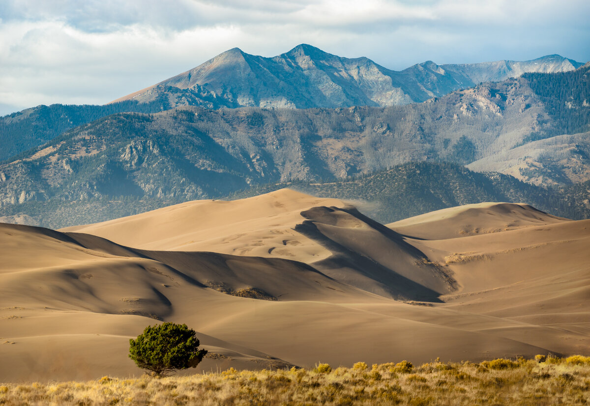 _DSC1094-Edit.jpg