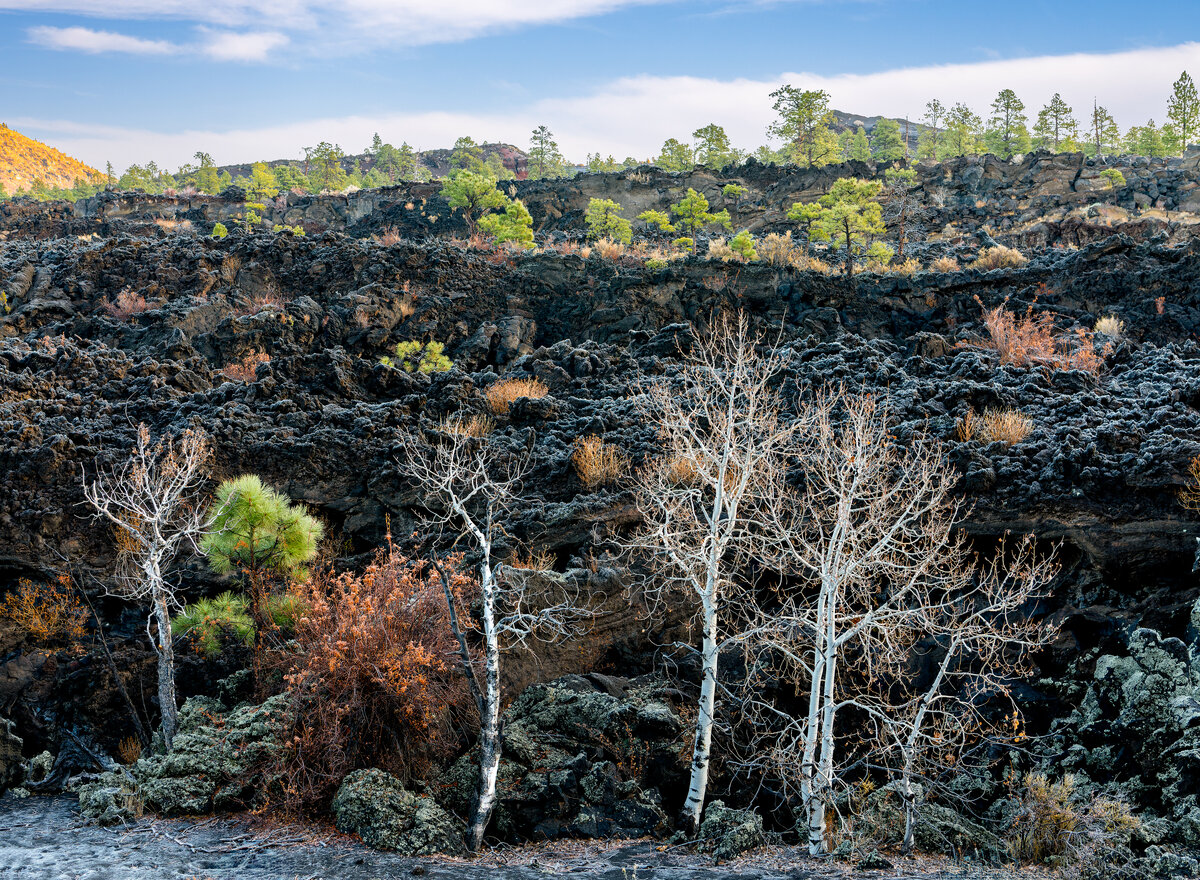_DSC1115-NEF_DxO_DeepPRIMEXD-Pano-Edit.jpg