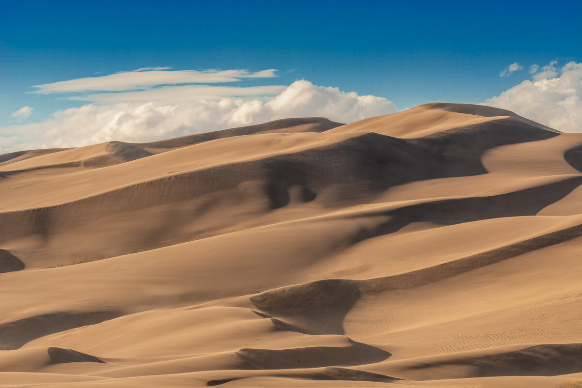 _DSC1137-Edit.jpg