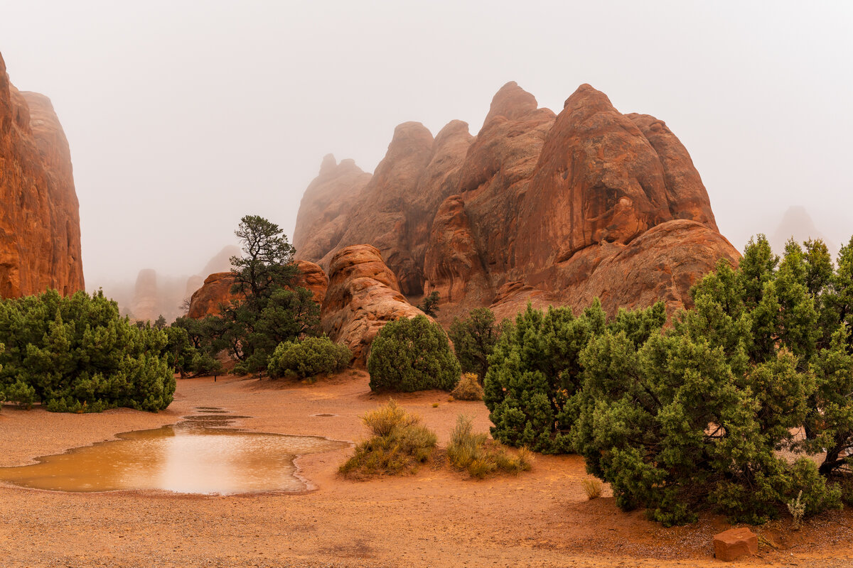 _DSC1216-Pano-Edit.jpg