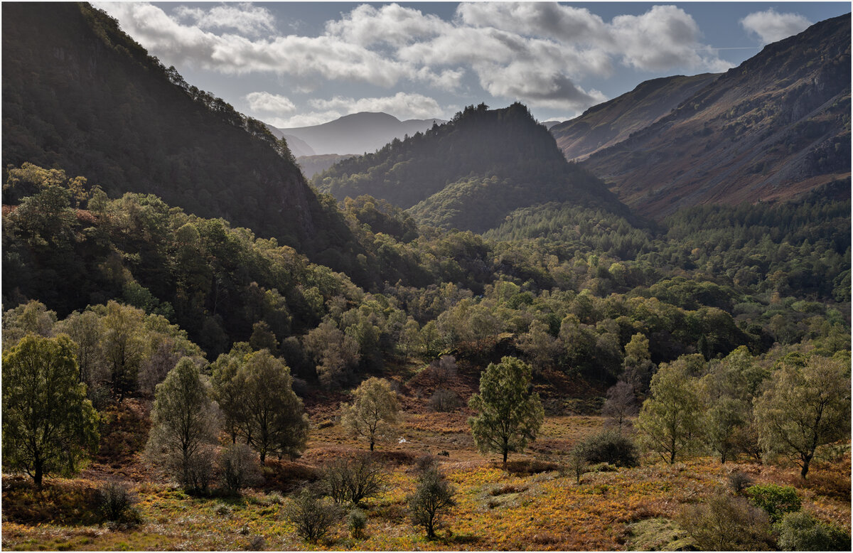 _DSC1217-1 copy.jpg