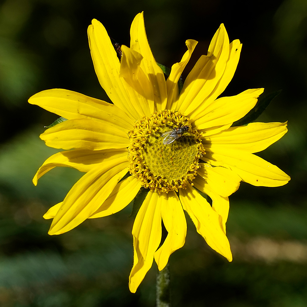_DSC1273_dw.jpg