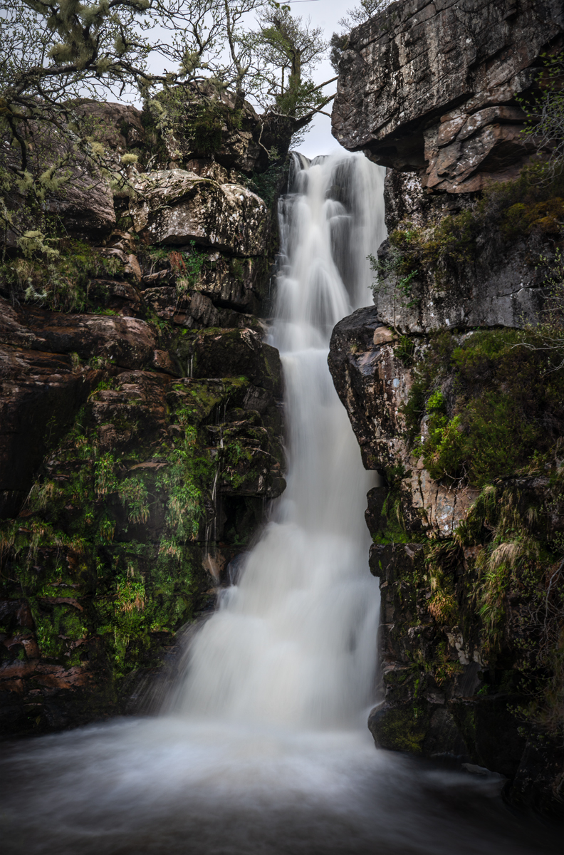 _DSC1306-1 1309 merge copy.jpg