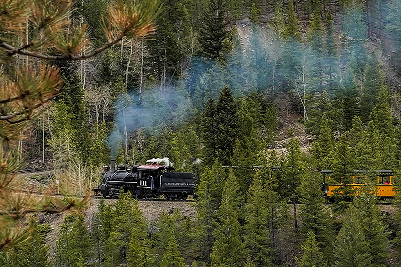 _DSC1387_dw.jpg