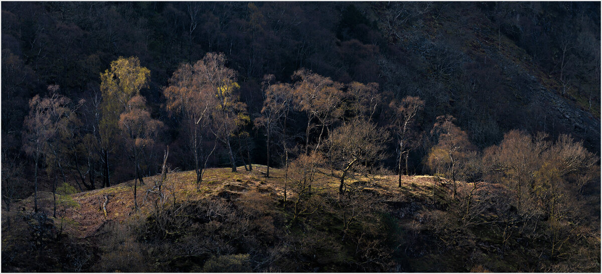 _DSC1437-Pano-1.jpg