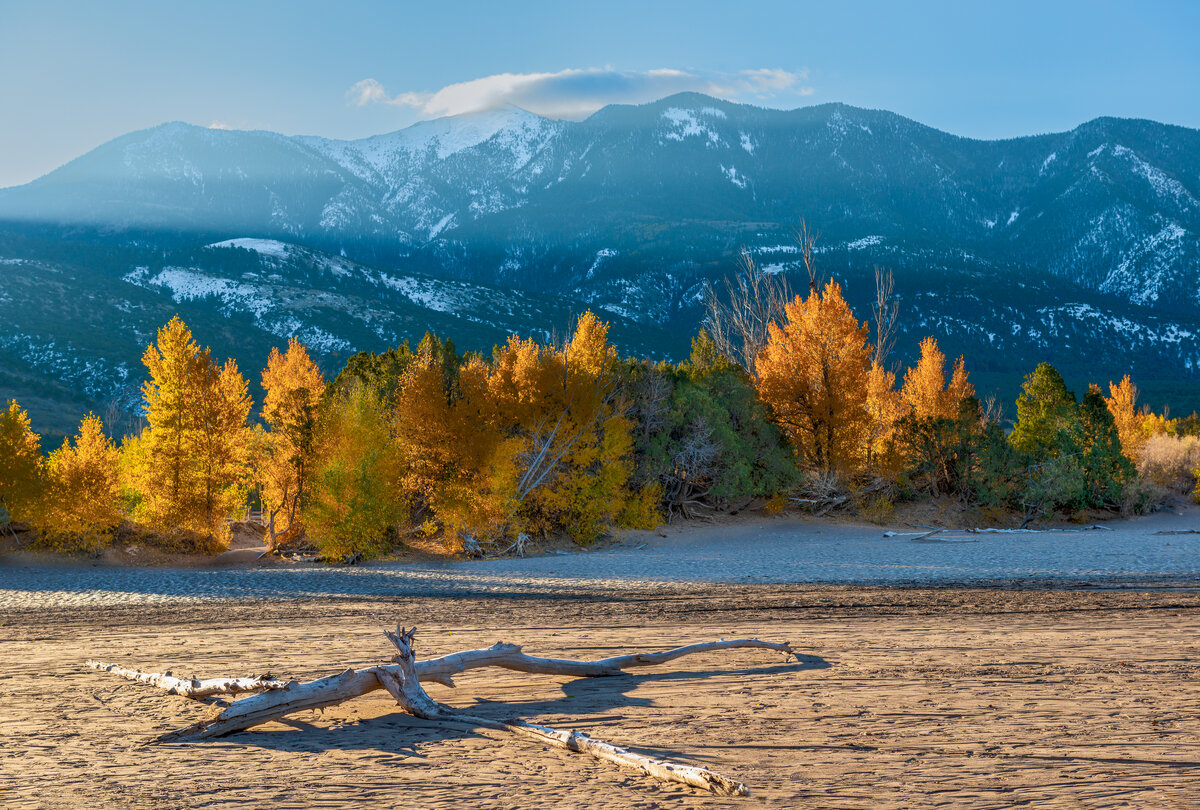 _DSC1566-Edit.jpg