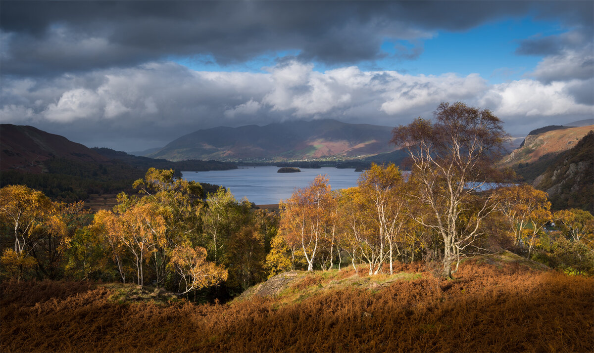 _DSC1606-1 copy.jpg