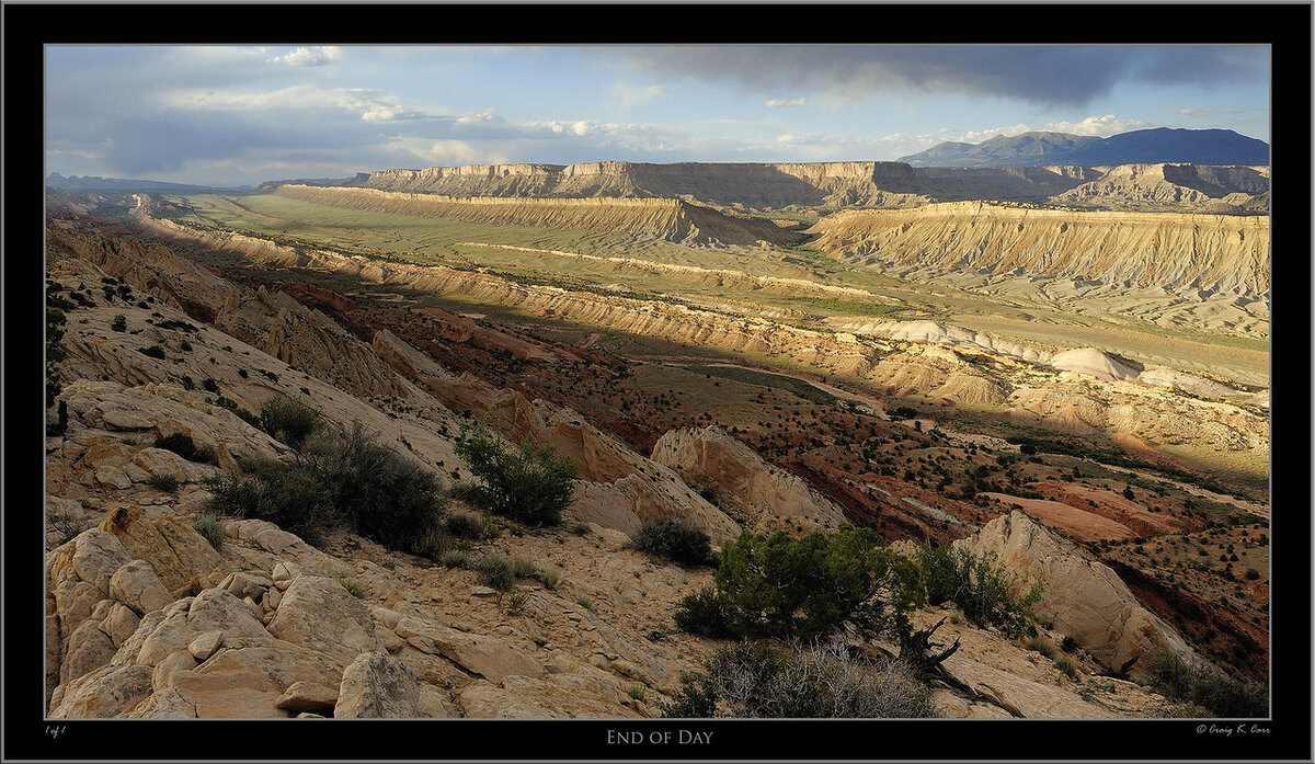 _DSC1695-X2.jpg