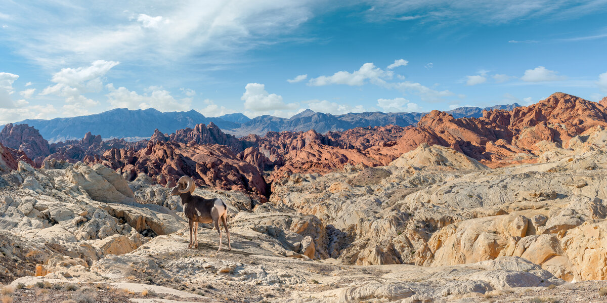 _DSC1762_DxO-Pano-Edit.jpg