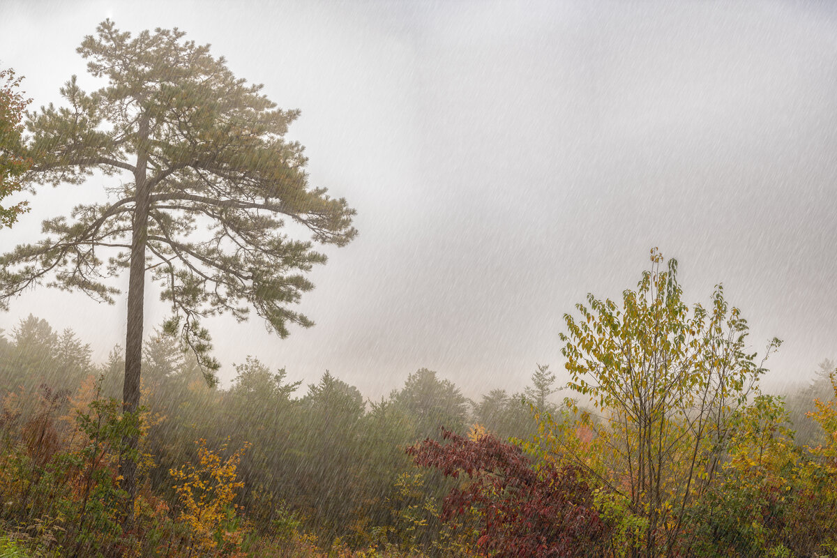_DSC1773-NEF_DxO_DeepPRIMEXD-Pano-Edit-Recovered-2.jpg