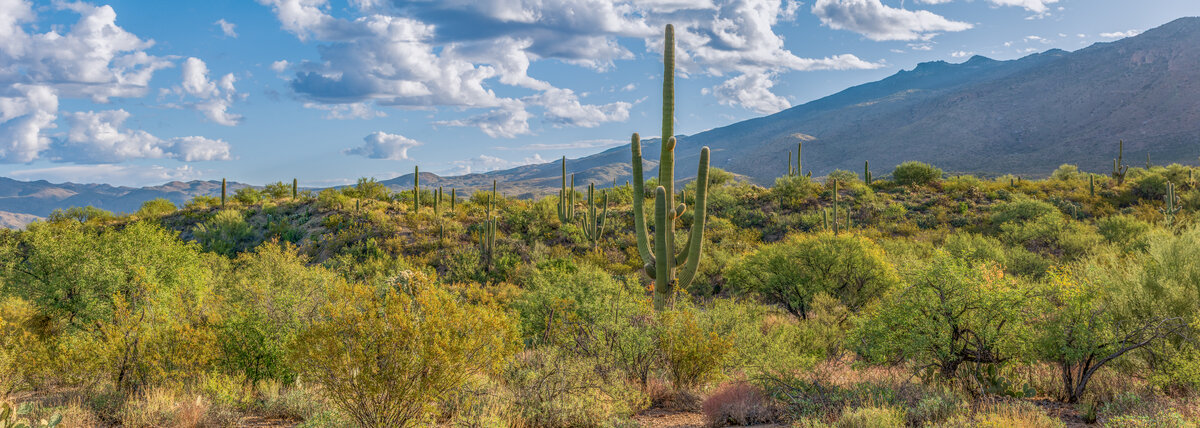 _DSC1773-Pano-2-Edit.jpg