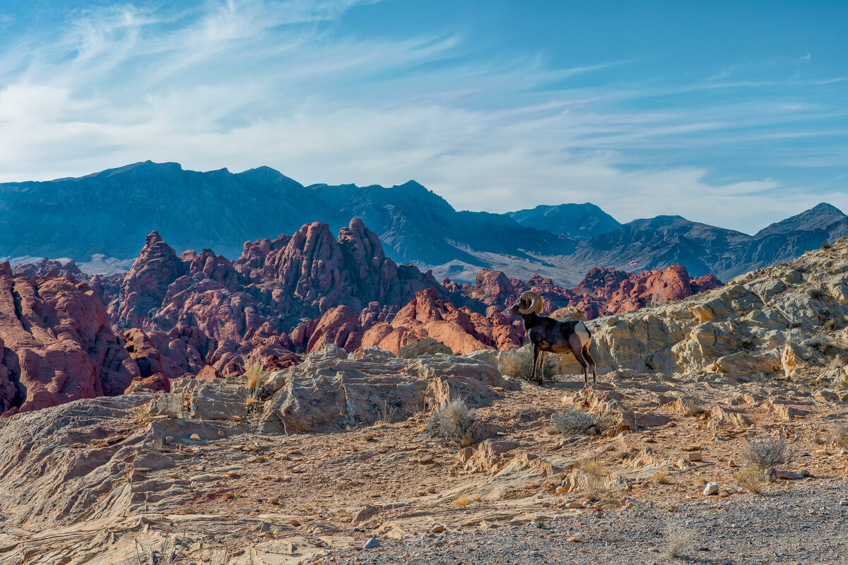 _DSC1782_DxO-Pano-2-Edit.jpg