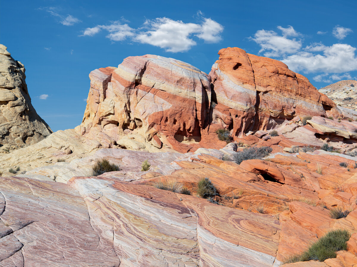 _DSC1798-Edit.jpg