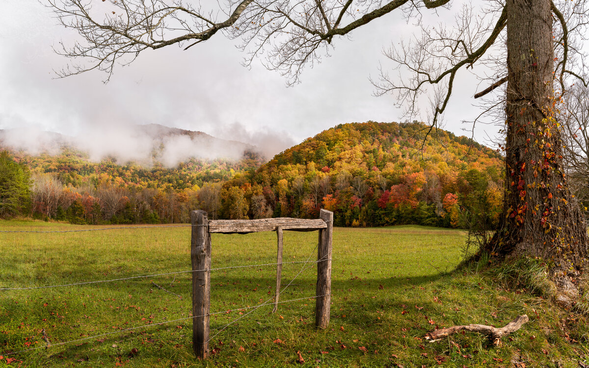_DSC1810-NEF_DxO_HQ-Pano-Edit.jpg