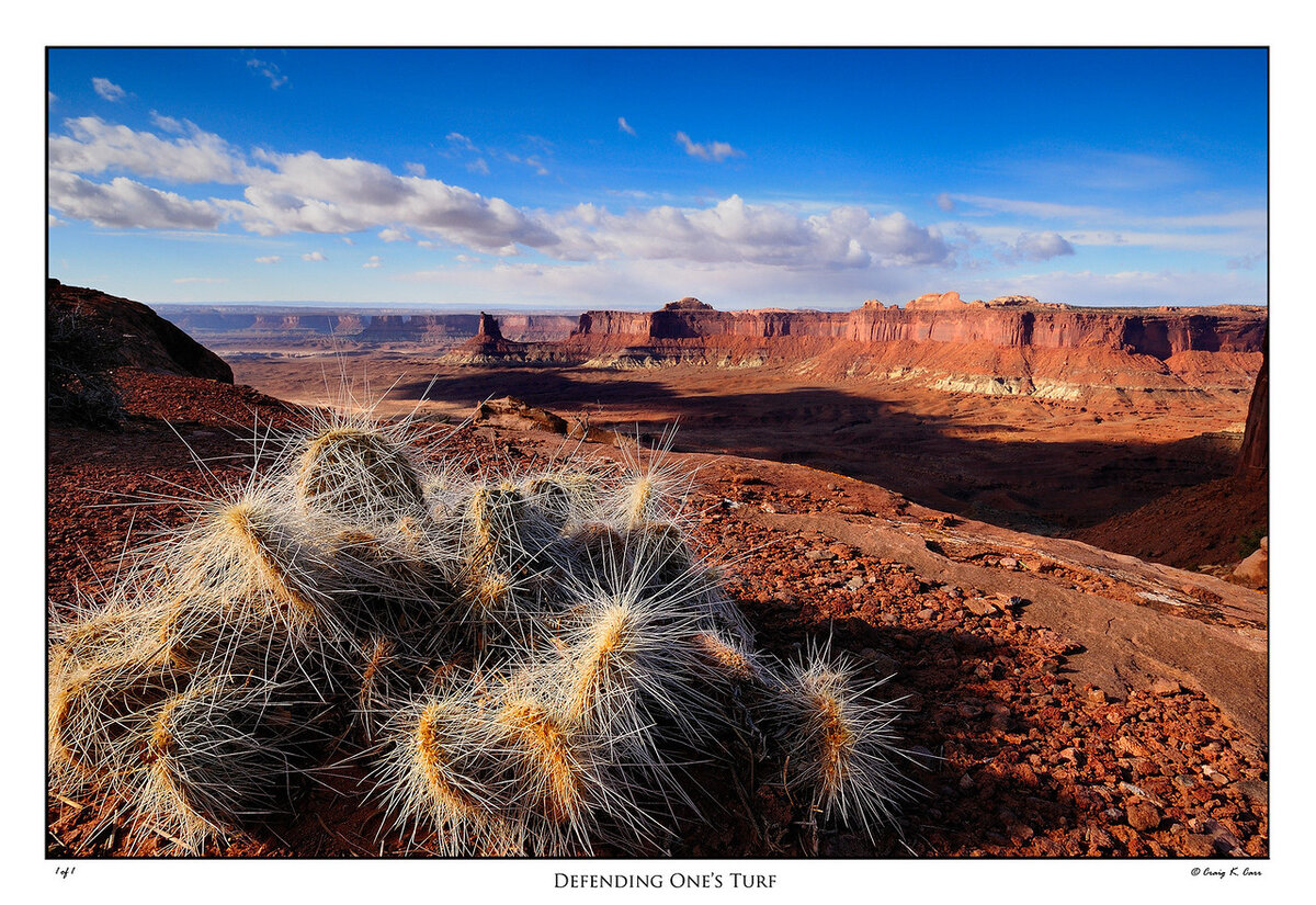 _DSC1815-X2.jpg