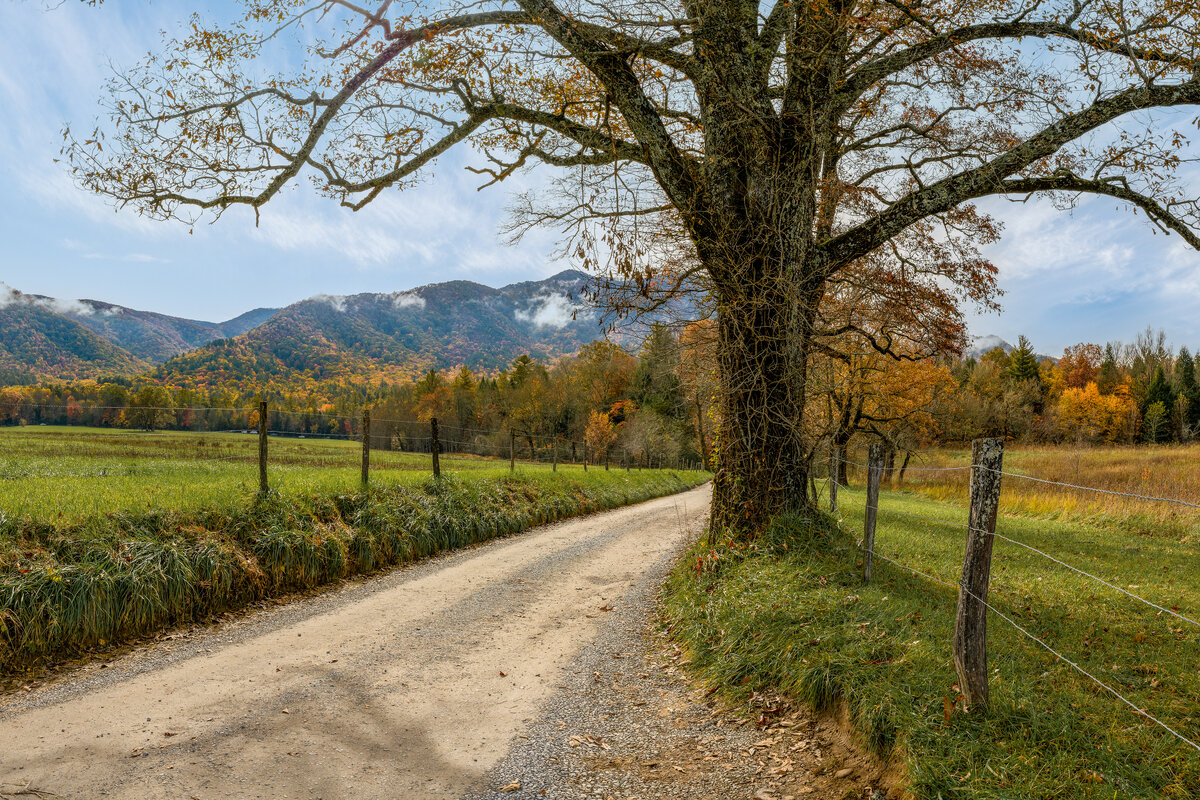 _DSC1857-NEF_DxO_HQ-Pano-Edit.jpg