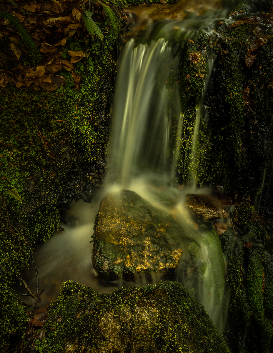_DSC1890-1 from laptop.jpg