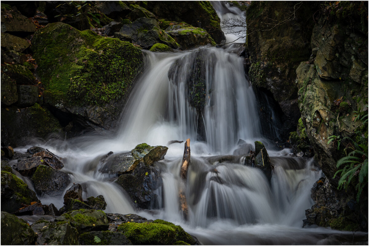 _DSC1904-1 copy.jpg