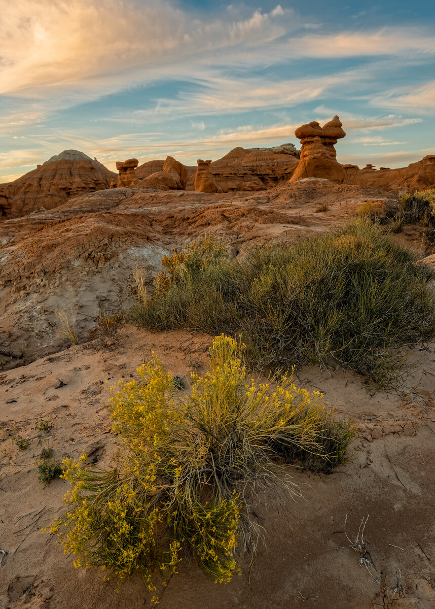 _DSC1906_DxO-Edit.jpg