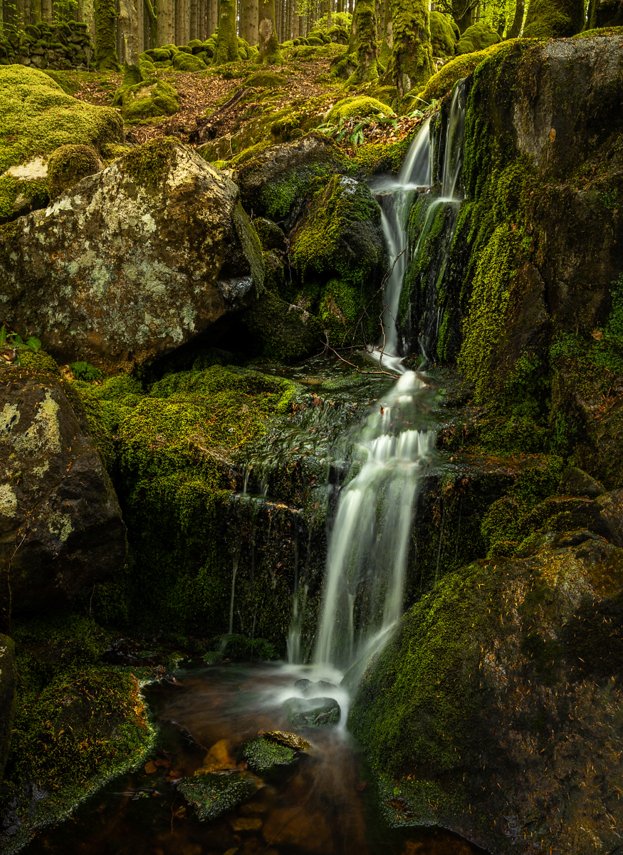 _DSC1910-1 from laptop.jpg