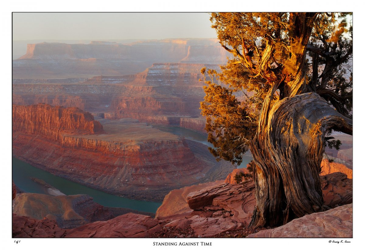 _DSC1930-X2.jpg