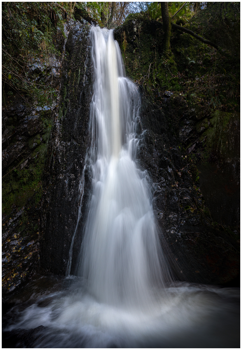 _DSC1934-1 copy.jpg