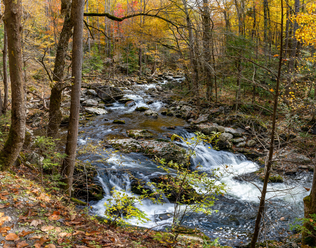 _DSC1947-NEF_DxO_HQ-Pano 2-Pano-Edit.jpg