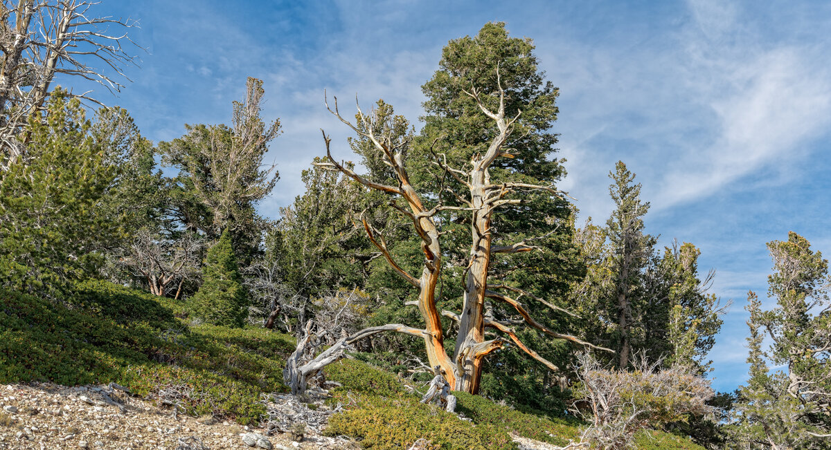 _DSC1948_DxO-Pano-Edit-Edit.jpg