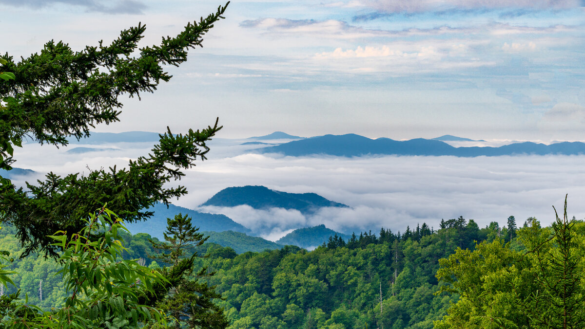 _DSC1965-Edit.jpg