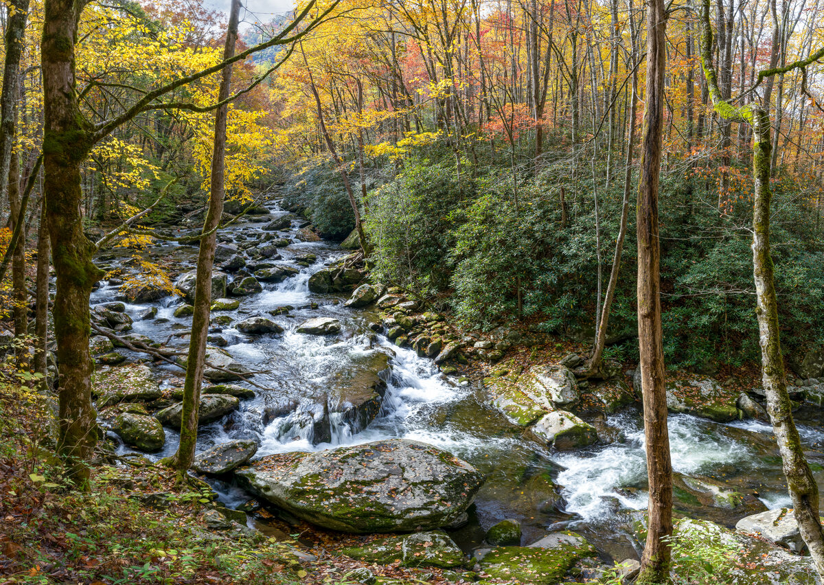 _DSC1967-NEF_DxO_HQ-Pano-Edit.jpg