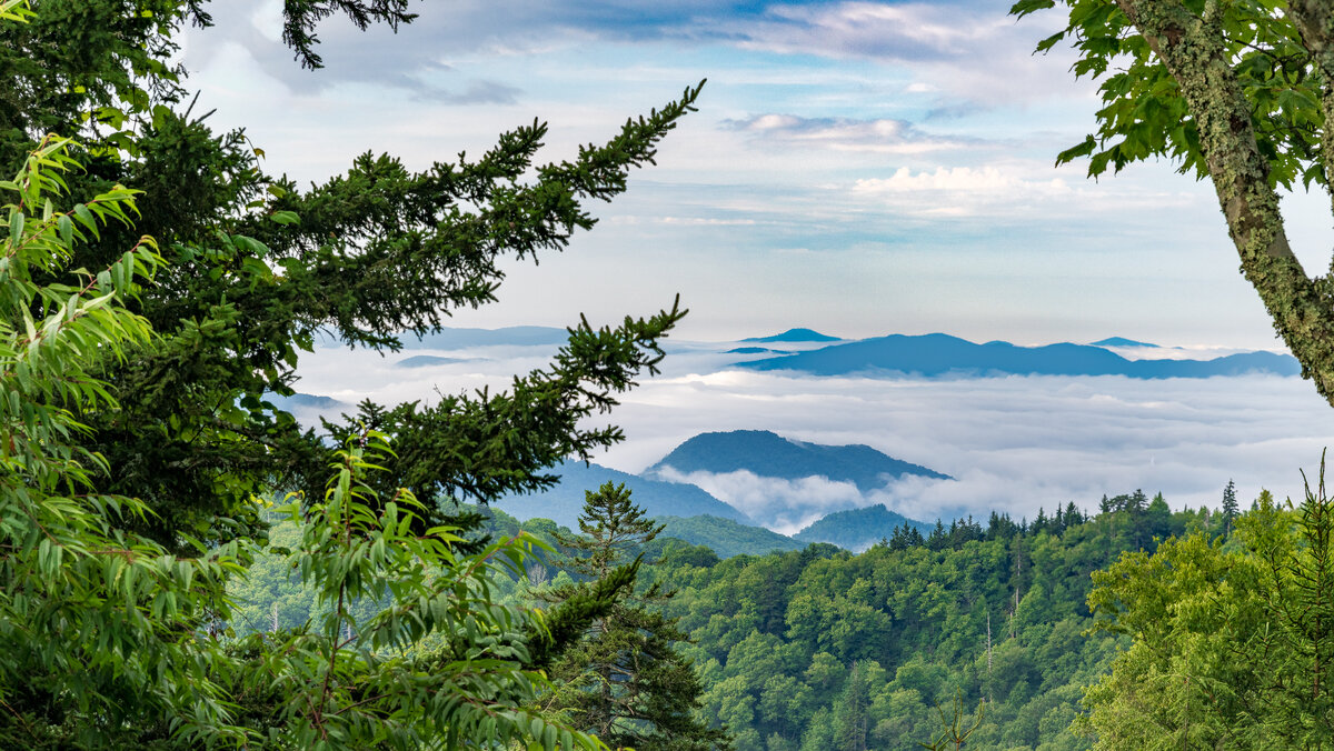 _DSC1968-Pano-Edit.jpg