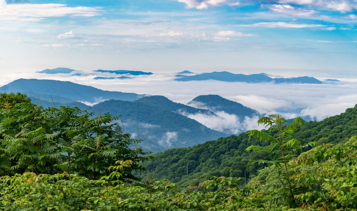 _DSC1983-Pano-Edit.jpg