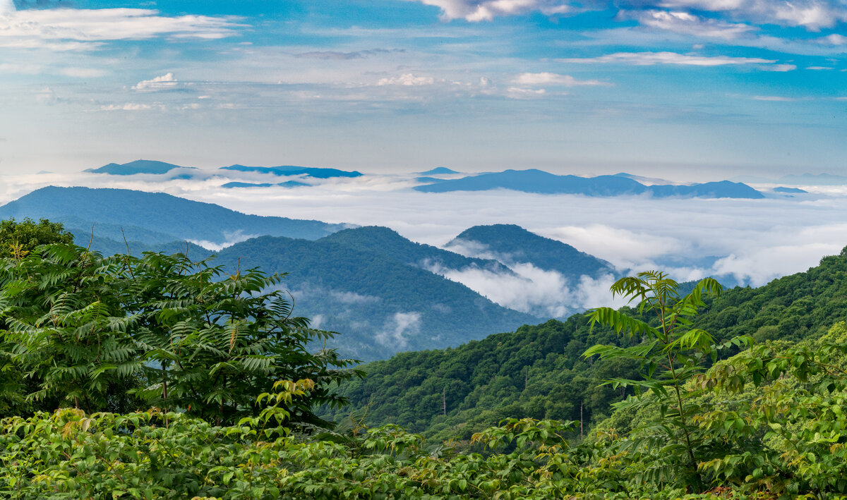 _DSC1983-Pano-Edit.jpg