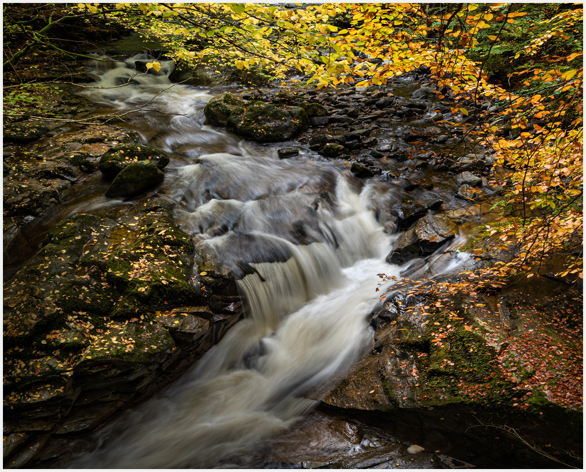_DSC2033-1 copy.jpg